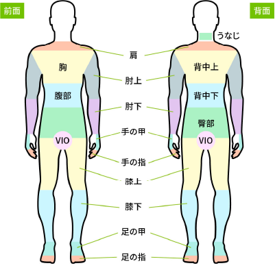 その他ボディ脱毛トライアル料金